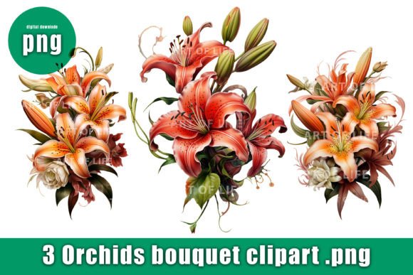 Orchid Flower PNG Clipart Set